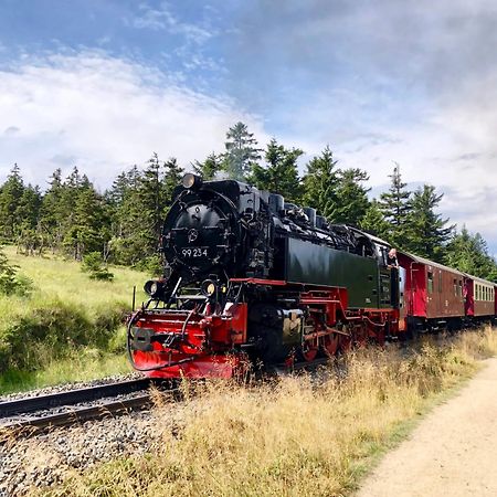 Fewo Schlossblick #Innenstadt #Garten #Netflix Von Harztraveler Wernigerode Εξωτερικό φωτογραφία